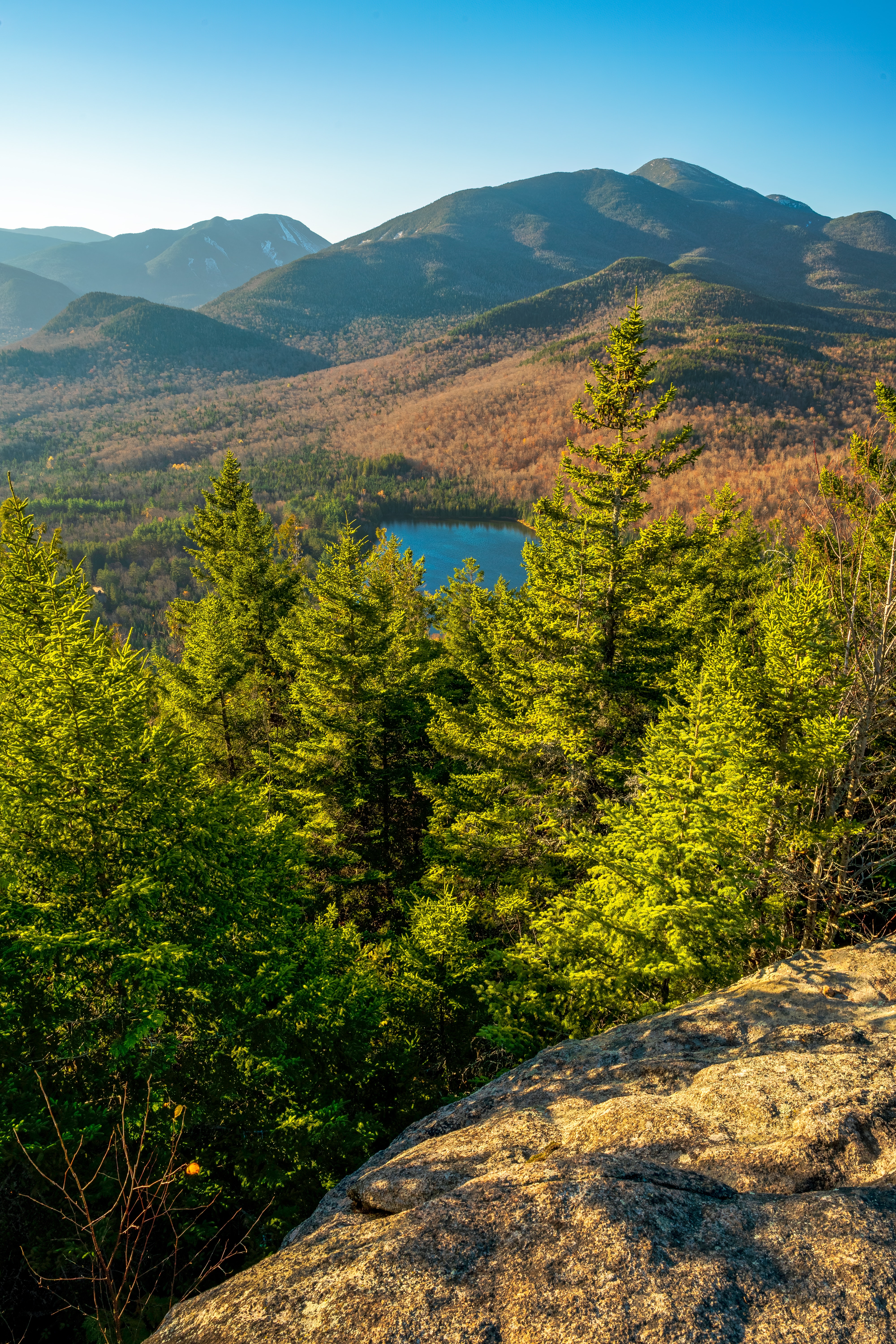 Adirondacks Awareness Advocates logo